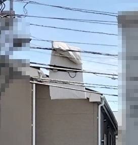 猫トマト＠求職中の人外コピーライター tweet media