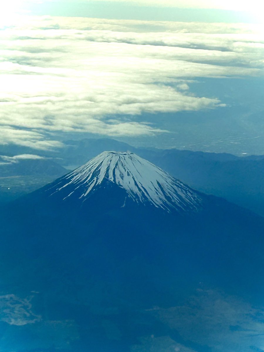 🌱TakaraMt.✨ tweet media