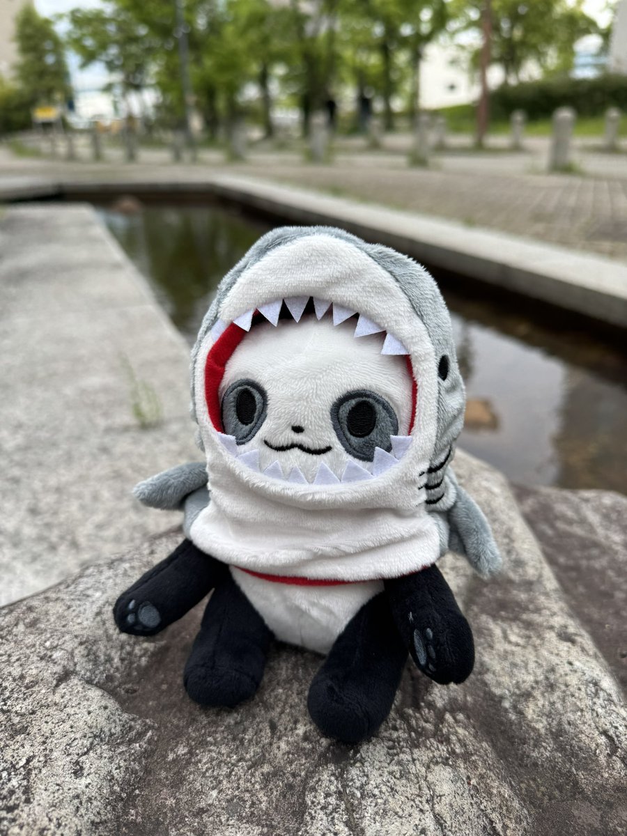 シャック🦈 tweet media