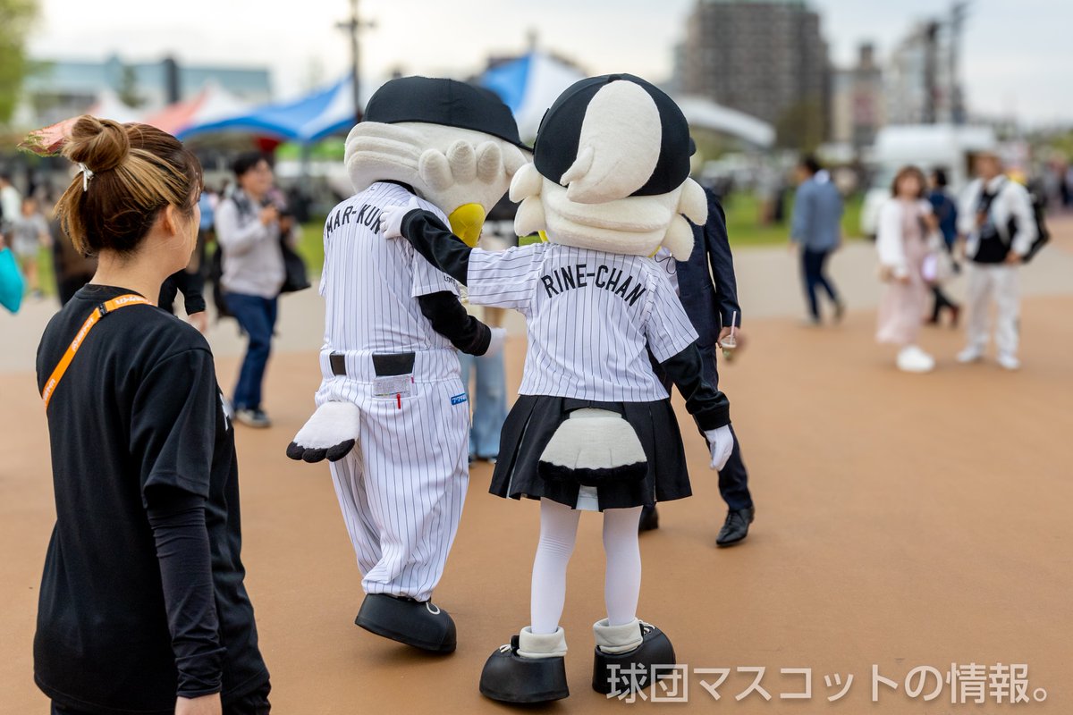 球団マスコットの情報。 tweet media
