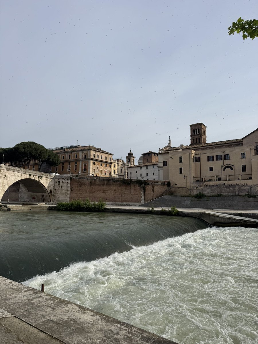 FrancescoC's tweet image. Wednesday morning walk by the Tiber. An oasis of green and peace in the city center. #roma #amor #tevere #BikePath #RiversideWalk #UrbanNature #CityWalks #SlowTravel #ExploreOnFoot