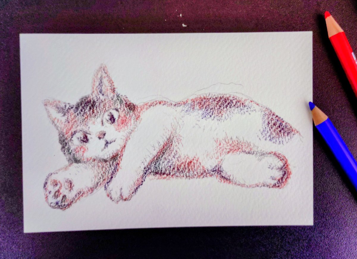 絵本の息抜きにちょっと色鉛筆で描いてみました😊