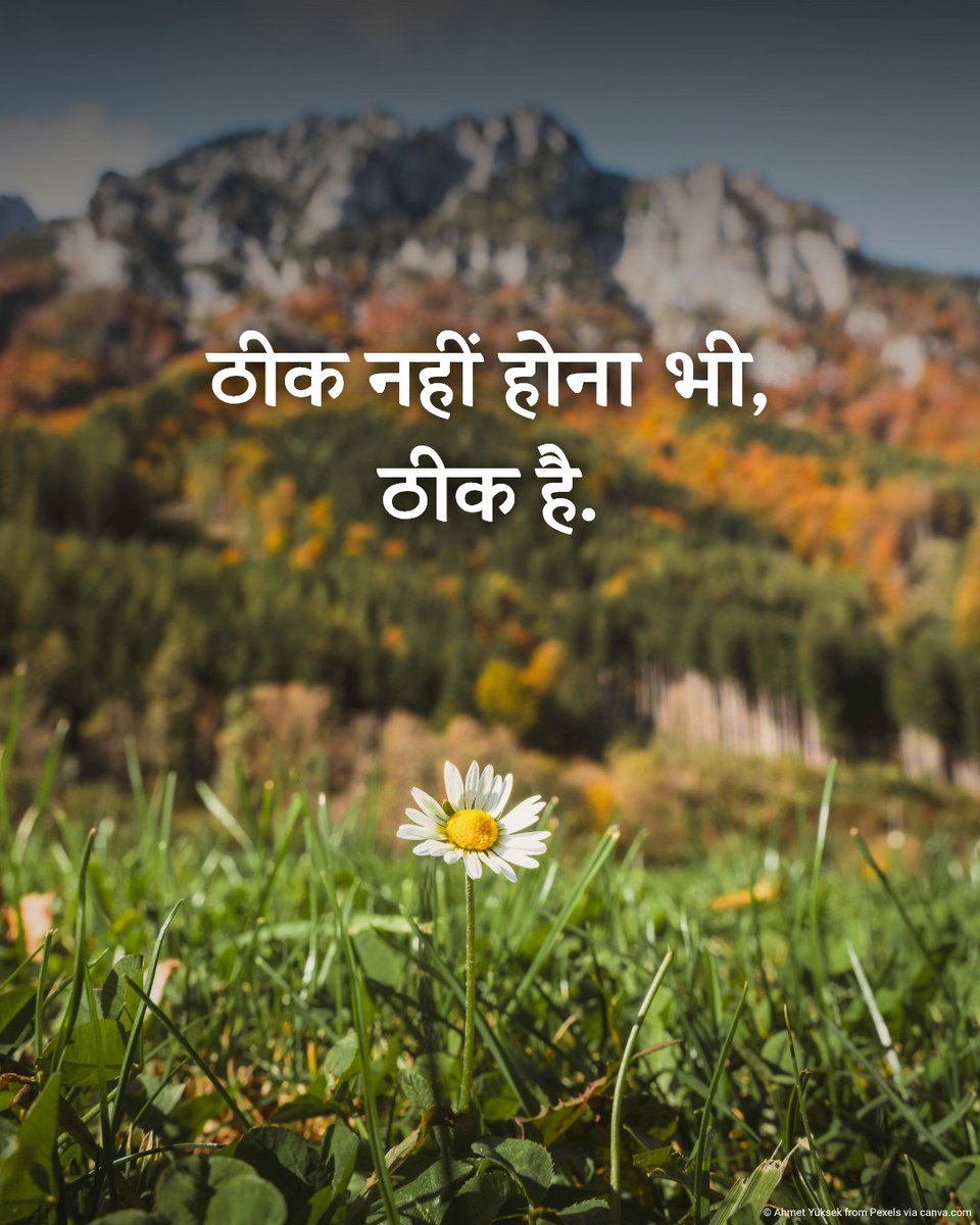 UNHindi tweet media