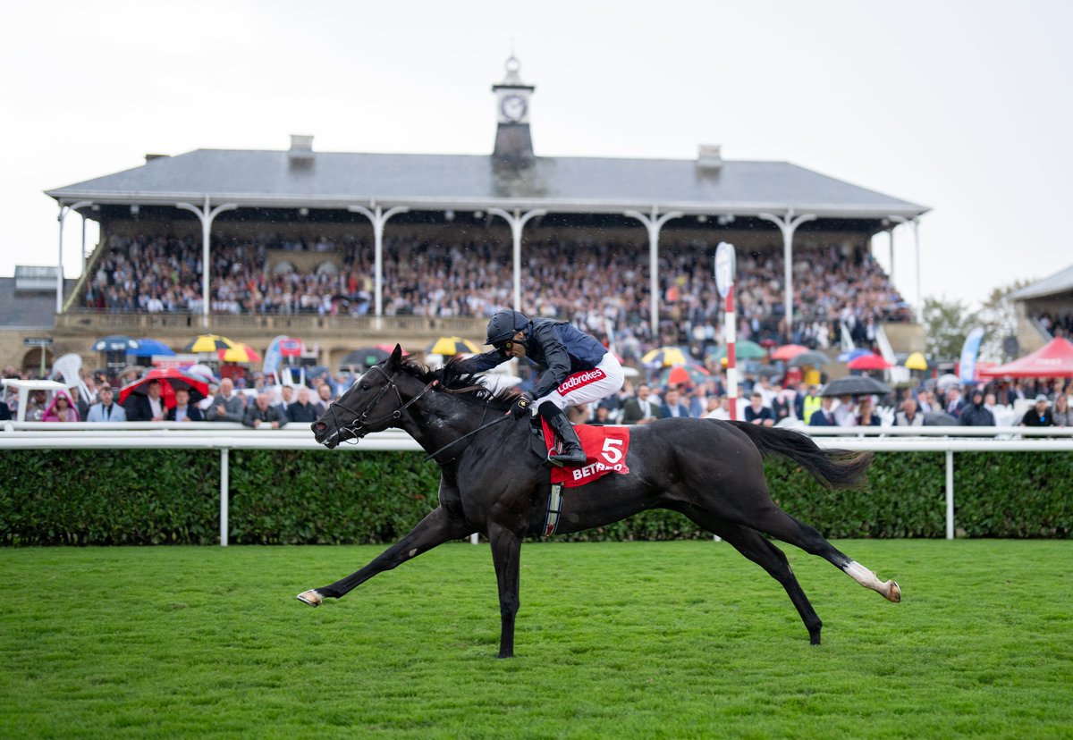 Racing Post tweet media