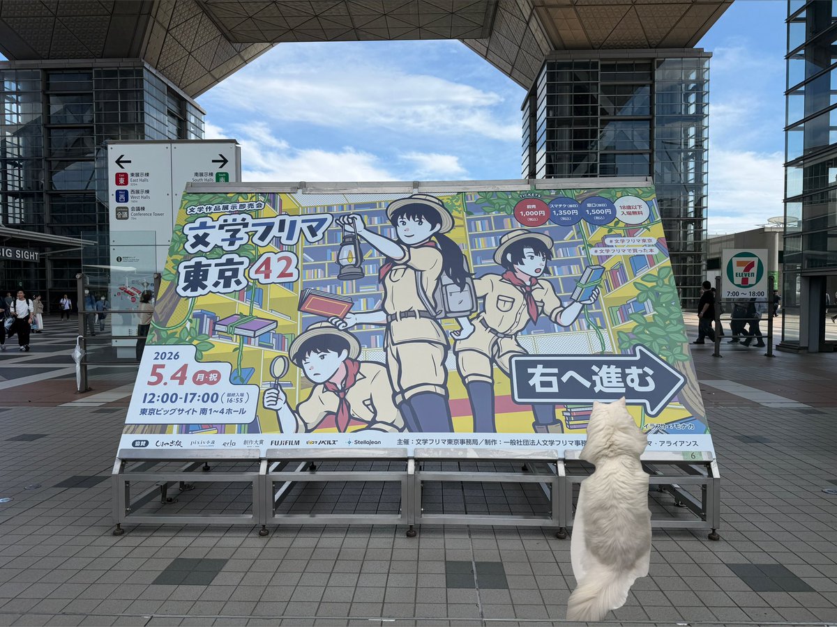 ごっちょ tweet media