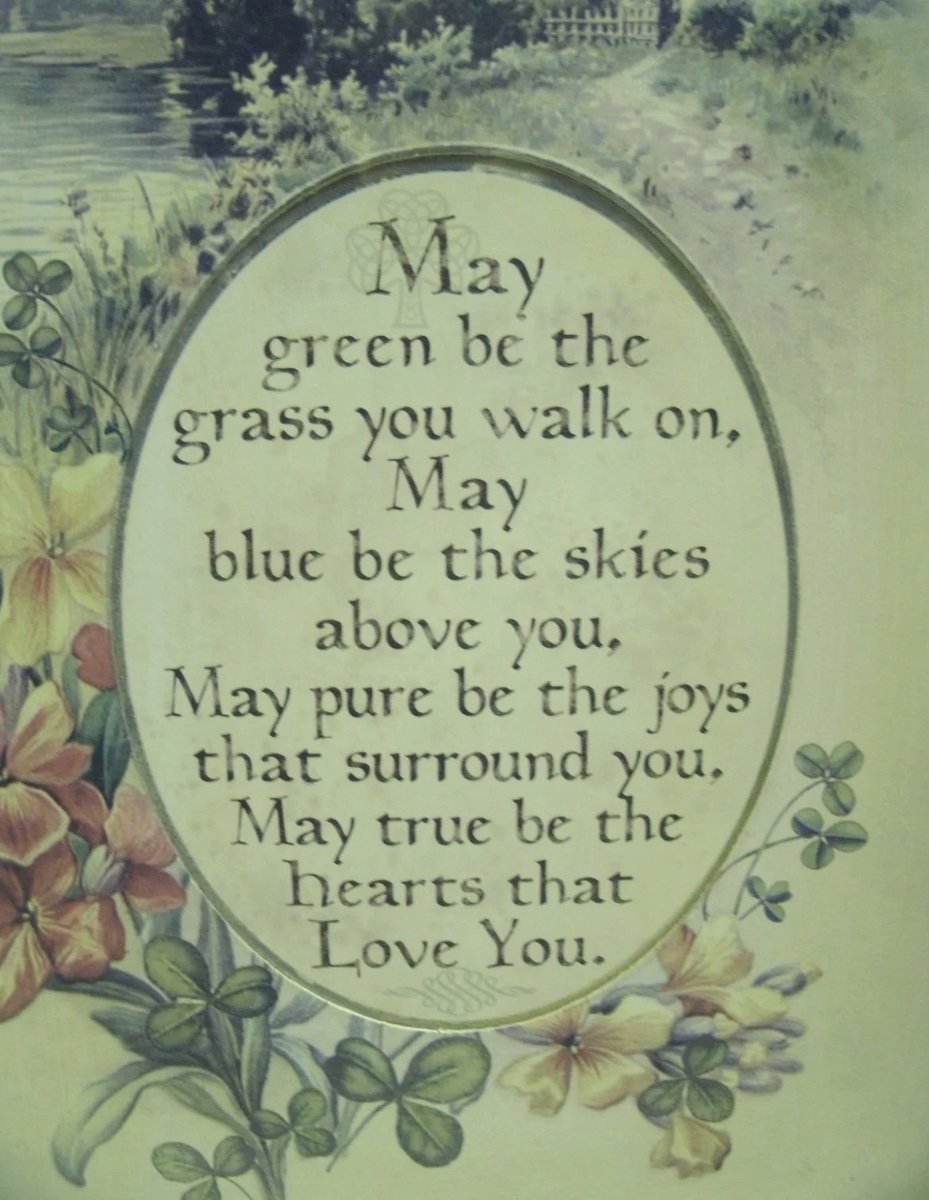 Bluebell Raven tweet media