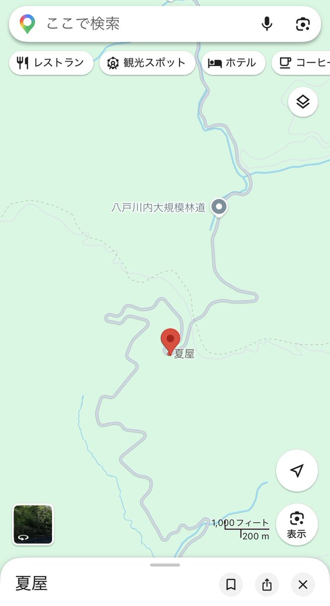 すてごん🌿🐐,,, tweet media