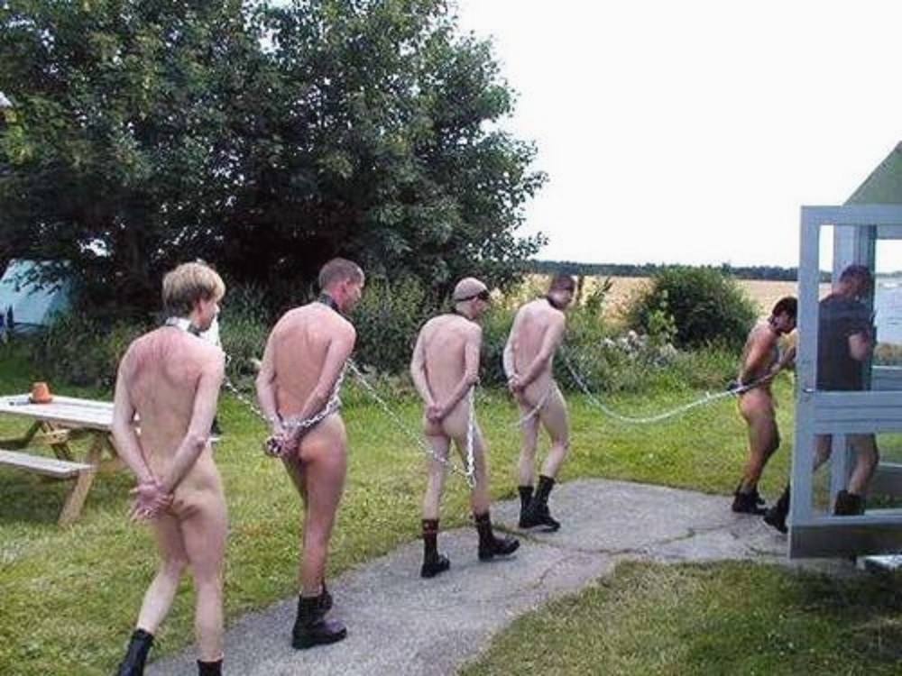 Gay BDSM Nation tweet media