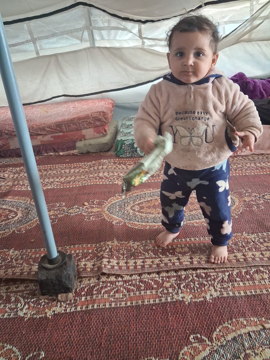 mohammed ashour tweet media