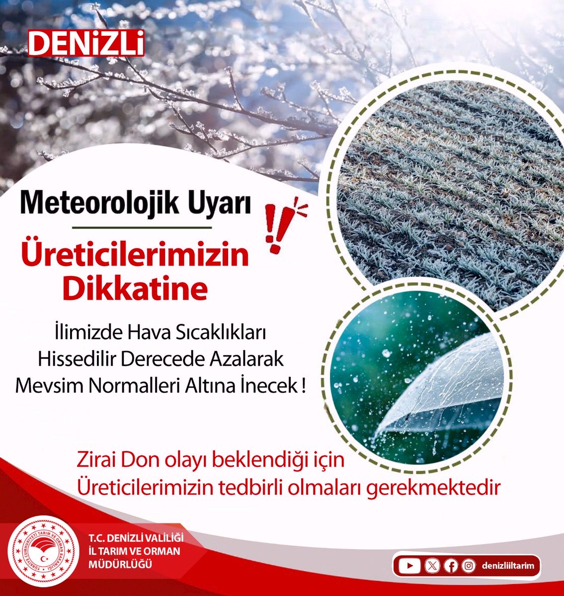 denizliiltarim's tweet photo. 🚨 ZİRAİ DON UYARISI!

❄️ Ani sıcaklık düşüşleri; meyve ağaçları, sebzeler ve tüm hassas ürünler için büyük risk oluşturuyor.

🌿 ÜRETİCİLERİMİZ DİKKAT!
✔️ Seralarda kapıları kapalı tutun, ısıtıcı çalıştırın, naylon ve örtüleri güçlendirin
✔️ Açık alanlarda bitkilerin üzerini örtü (bez, naylon, saman) ile kapatın
✔️ Don öncesi akşam saatlerinde hafif sulama yapın
✔️ Bahçelerde dumanlama yaparak sıcaklık kaybını azaltın
✔️ Hassas ve çiçeklenmiş ürünlere öncelik verin
⚠️ Alınacak basit bir önlem, sezonu kurtarır!

@TCTarim 
@ibrahimyumakli 
@DenizliValiligi 
@NevzatZayim