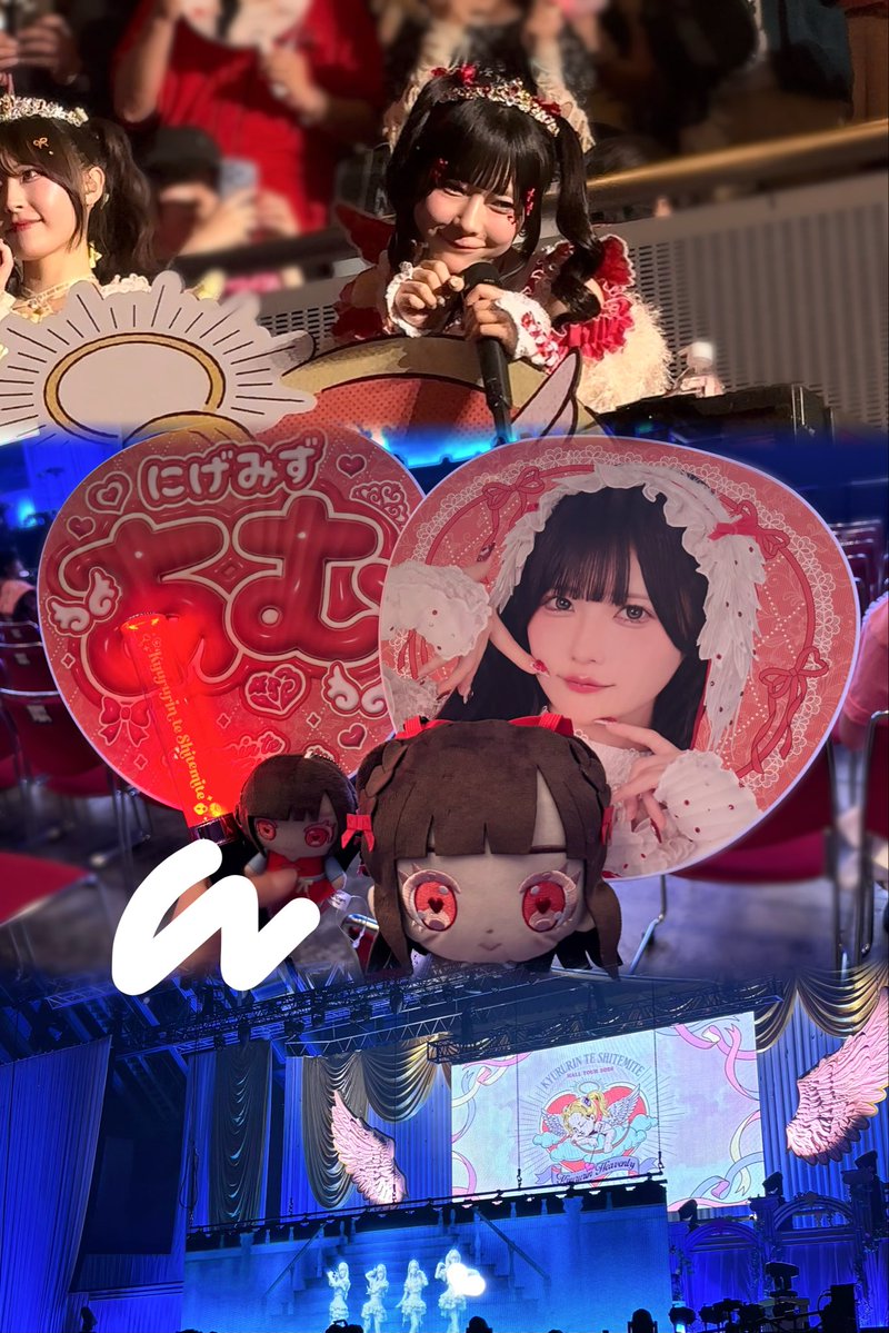 ぬいぐるみ tweet media