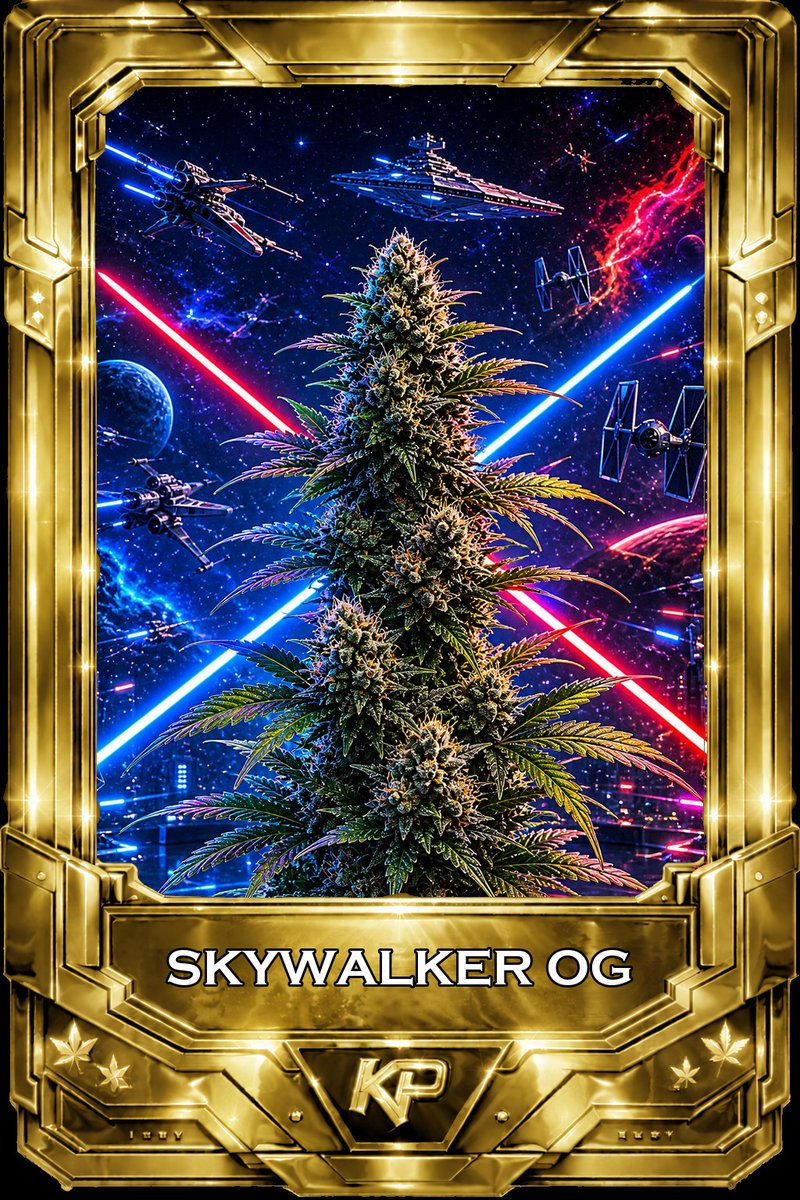 KushyProd tweet media