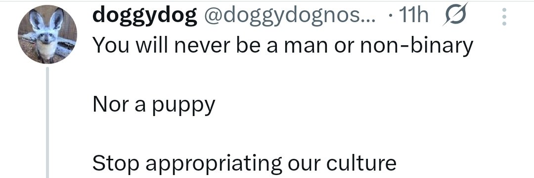 Shayne tweet media