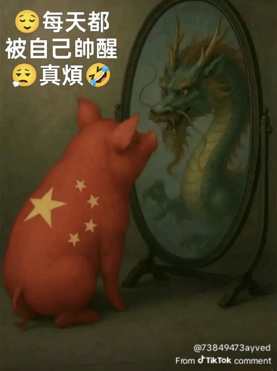 lucky（中国民生版） tweet media