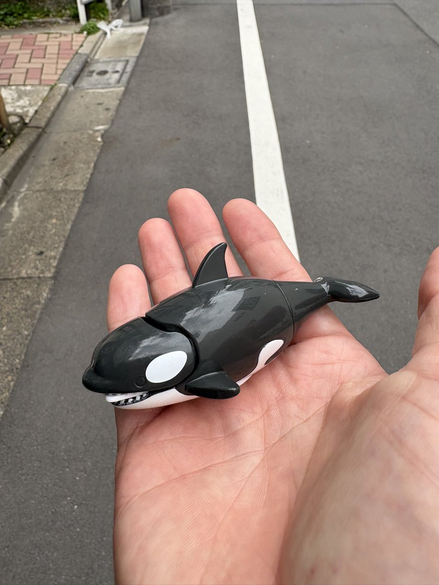 シン・安部行洋 :|| tweet media