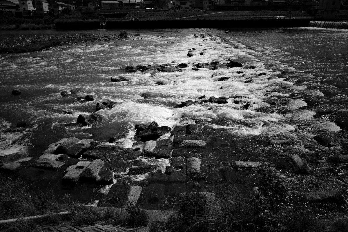 wao_camera's tweet image. 武庫川

GRⅣ monochrome 
#GR4monochrome #SnapShot 
#monochrome 
#streetsnap