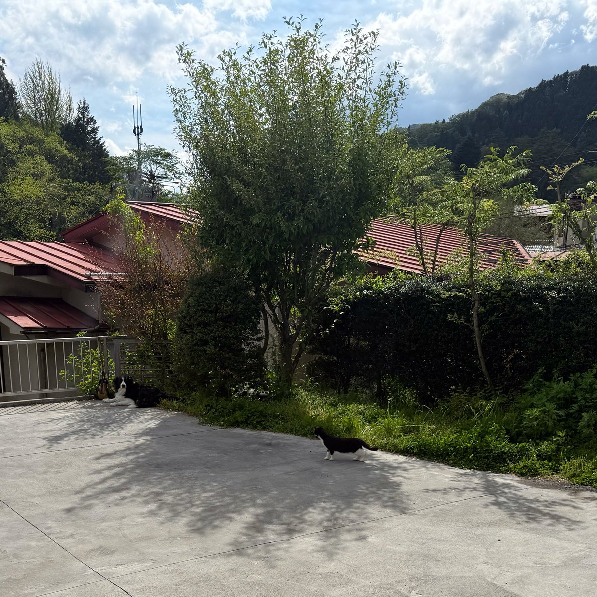弾丸湯治部♨ tweet media