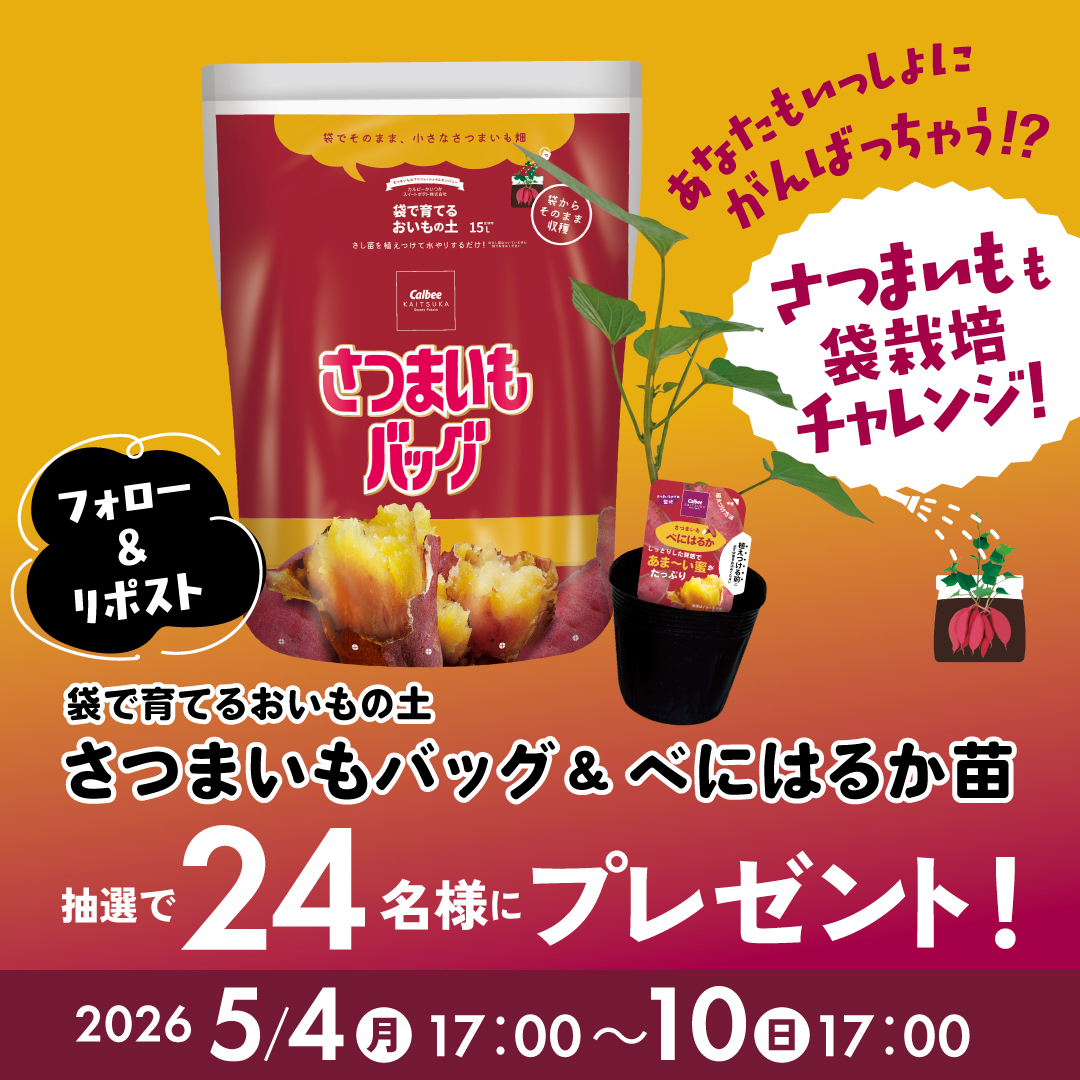 【公式】プロトリーフ tweet media