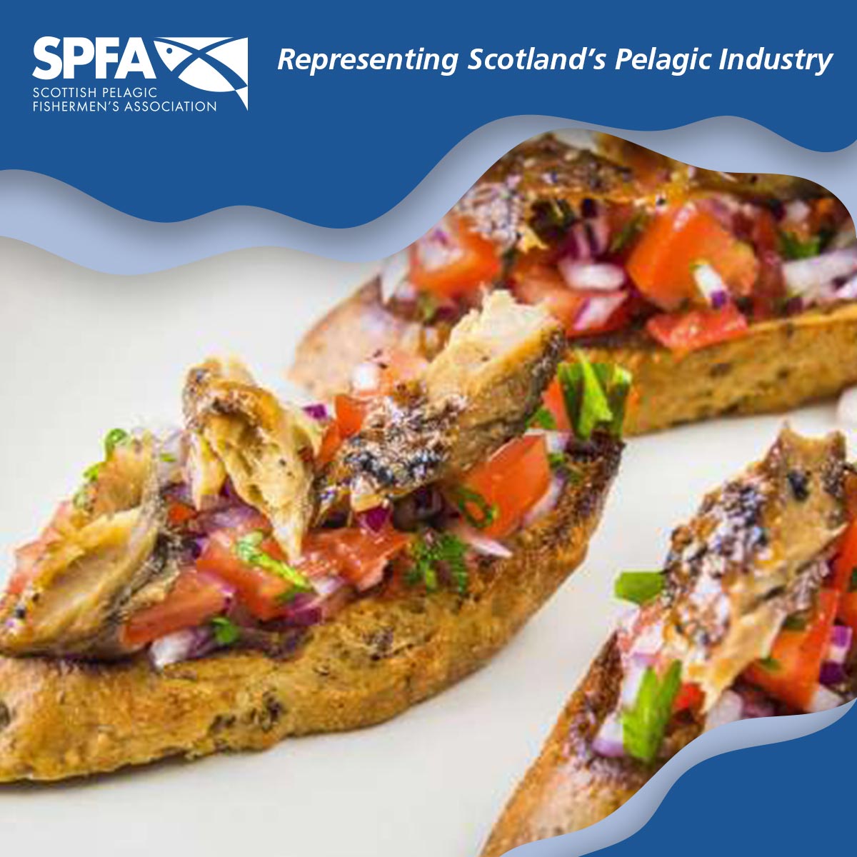 spfa_uk's tweet image. Mackerel and herring are the perfect meal choice for taste, our health and are great value-for-money 

scottishpelagic.co.uk

#HealthyEating #HeartHealthy #Omega3Rich #EatMoreFish #My2aWeek