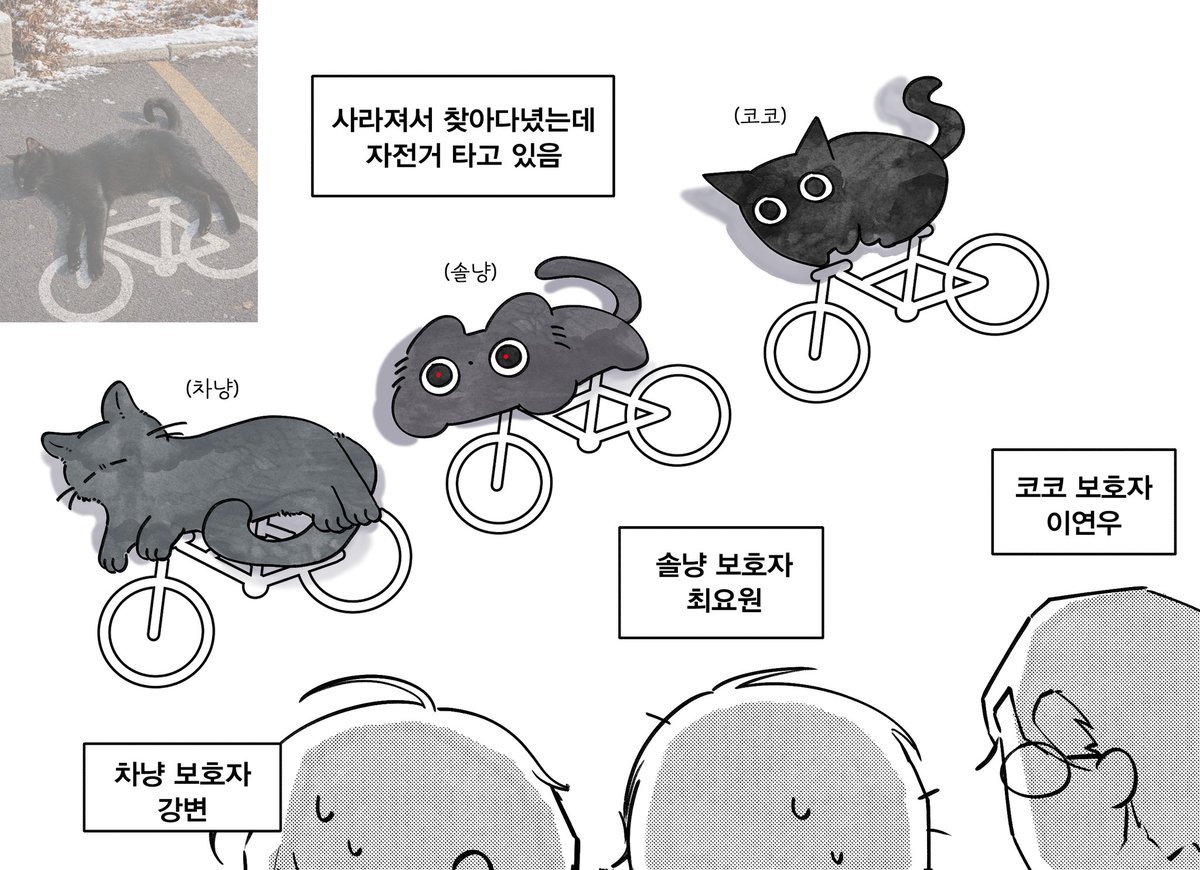 베리몽 tweet media