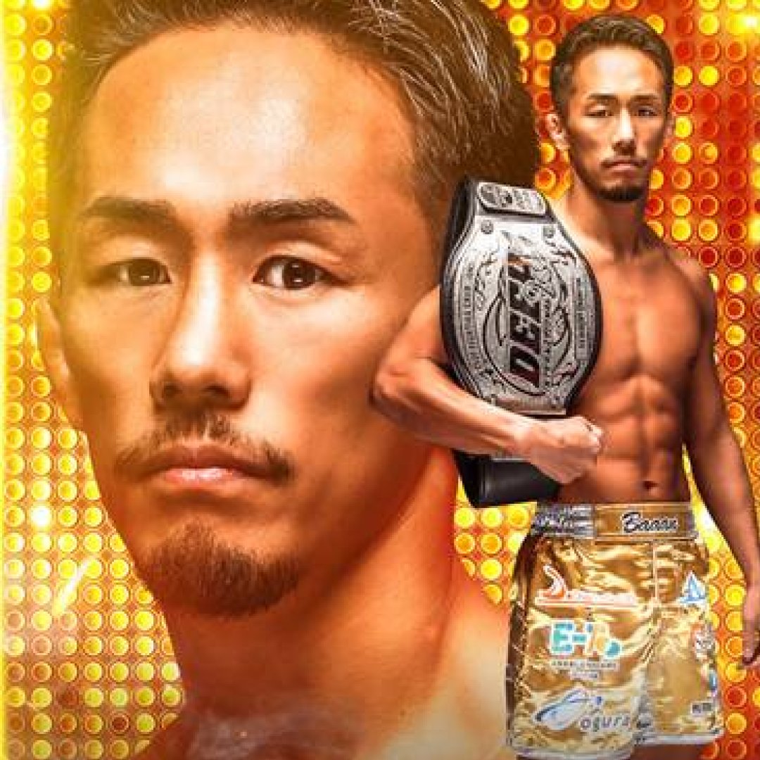 ファイトメモリー | Fight Memory tweet media
