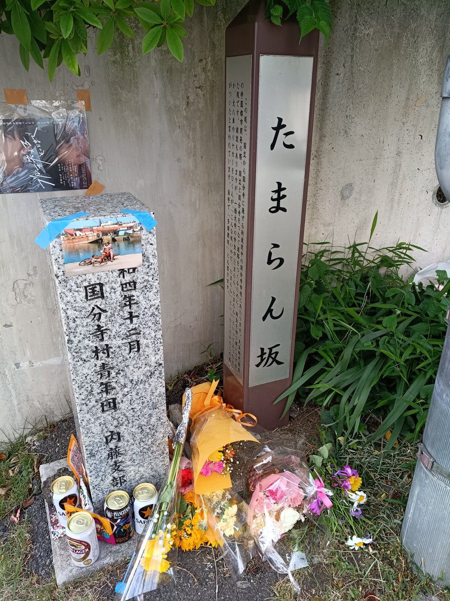 こまちゃん_7 tweet media