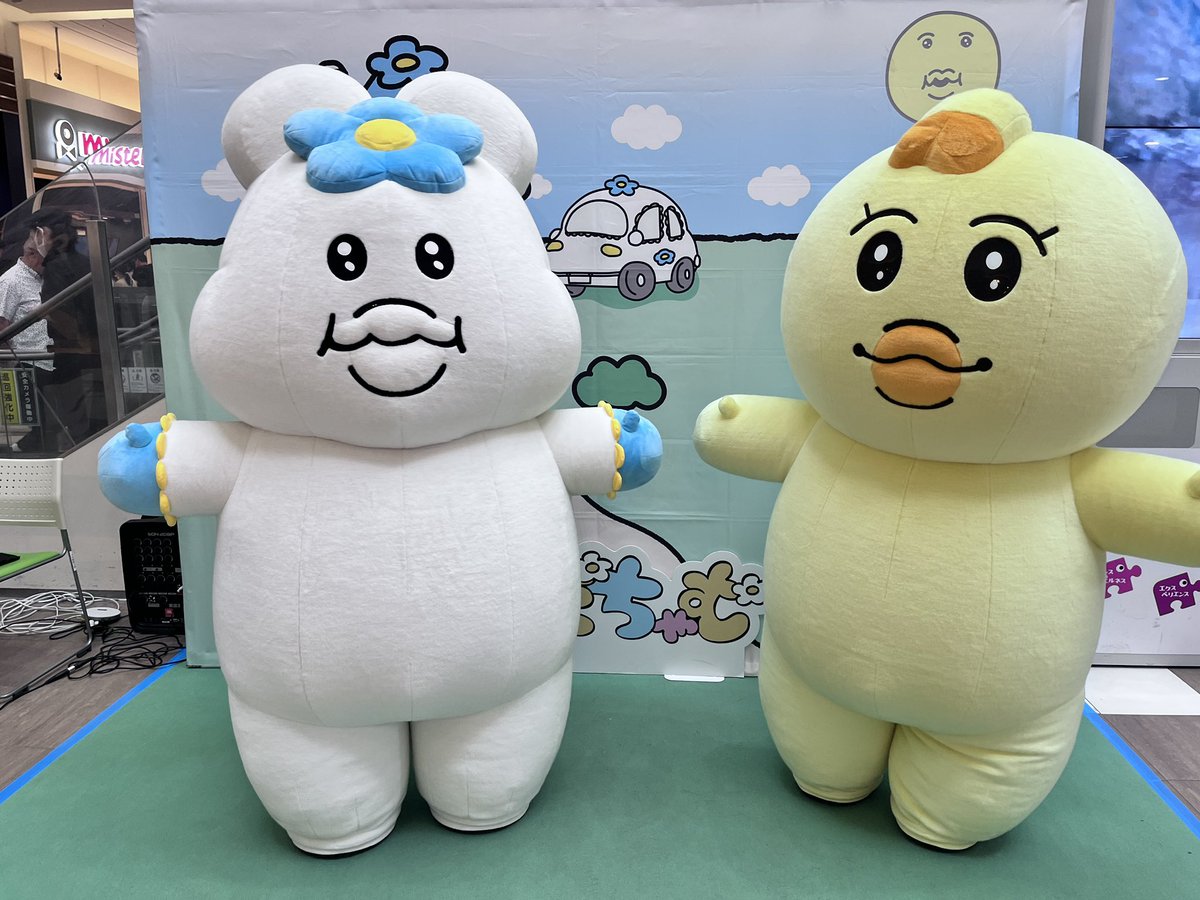 blan☆ tweet media