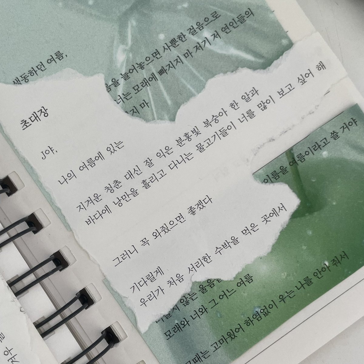 성아 tweet media