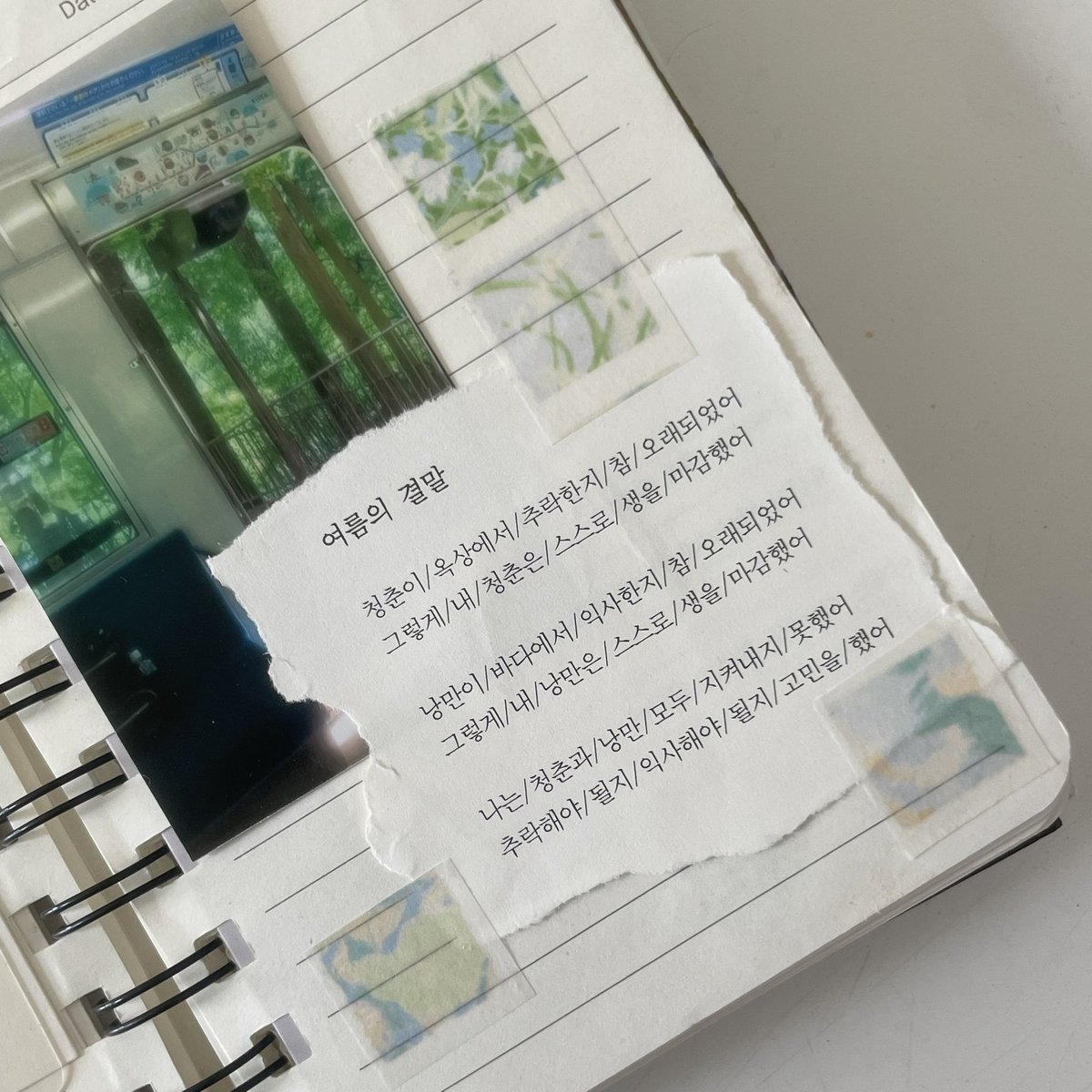 성아 tweet media