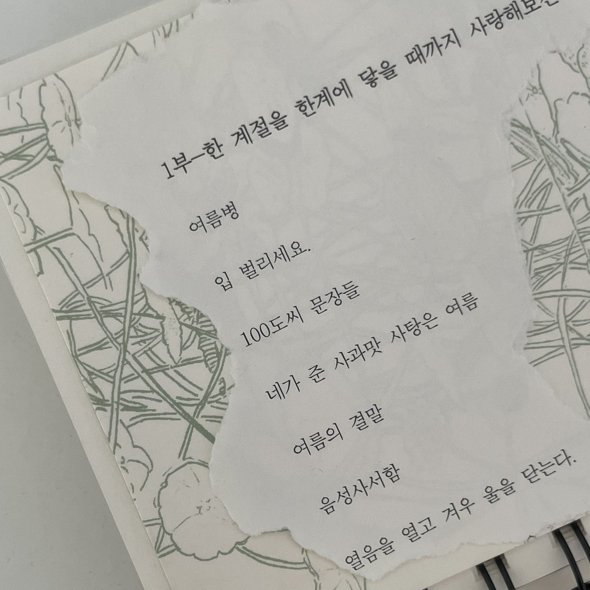 성아 tweet media