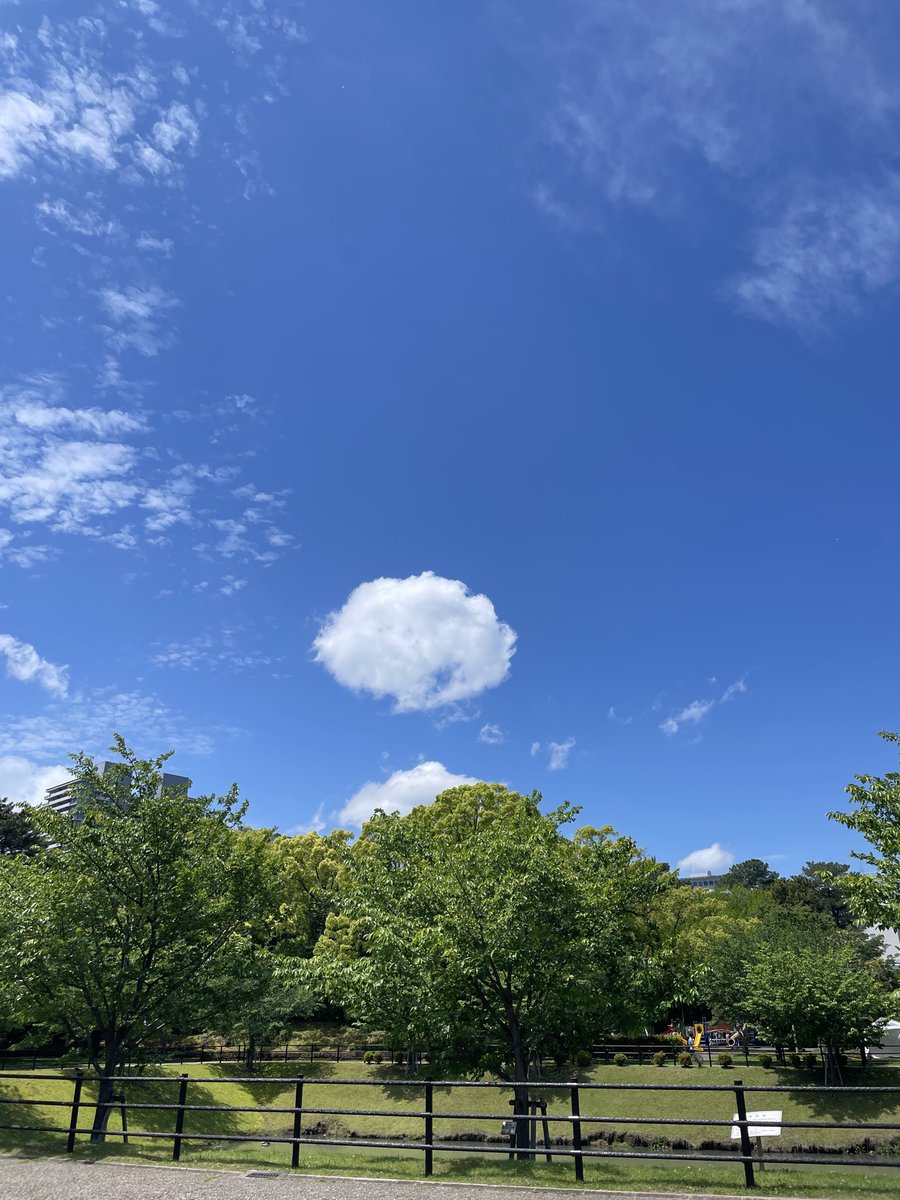 tsuchitoteto's tweet photo. 静岡せかい演劇祭とストレンジシードを観に来ています。喫茶店で相席になった方が愛媛で演劇の制作をされている方と東京で演劇の広報をされている方。楽しい出会い。今日は駿府城公園とまちと静岡芸術劇場を行ったり来たり！
まちの至る所で芸術に触れられる。贅沢な時間です。 https://t.co/2KgyCNVhxh