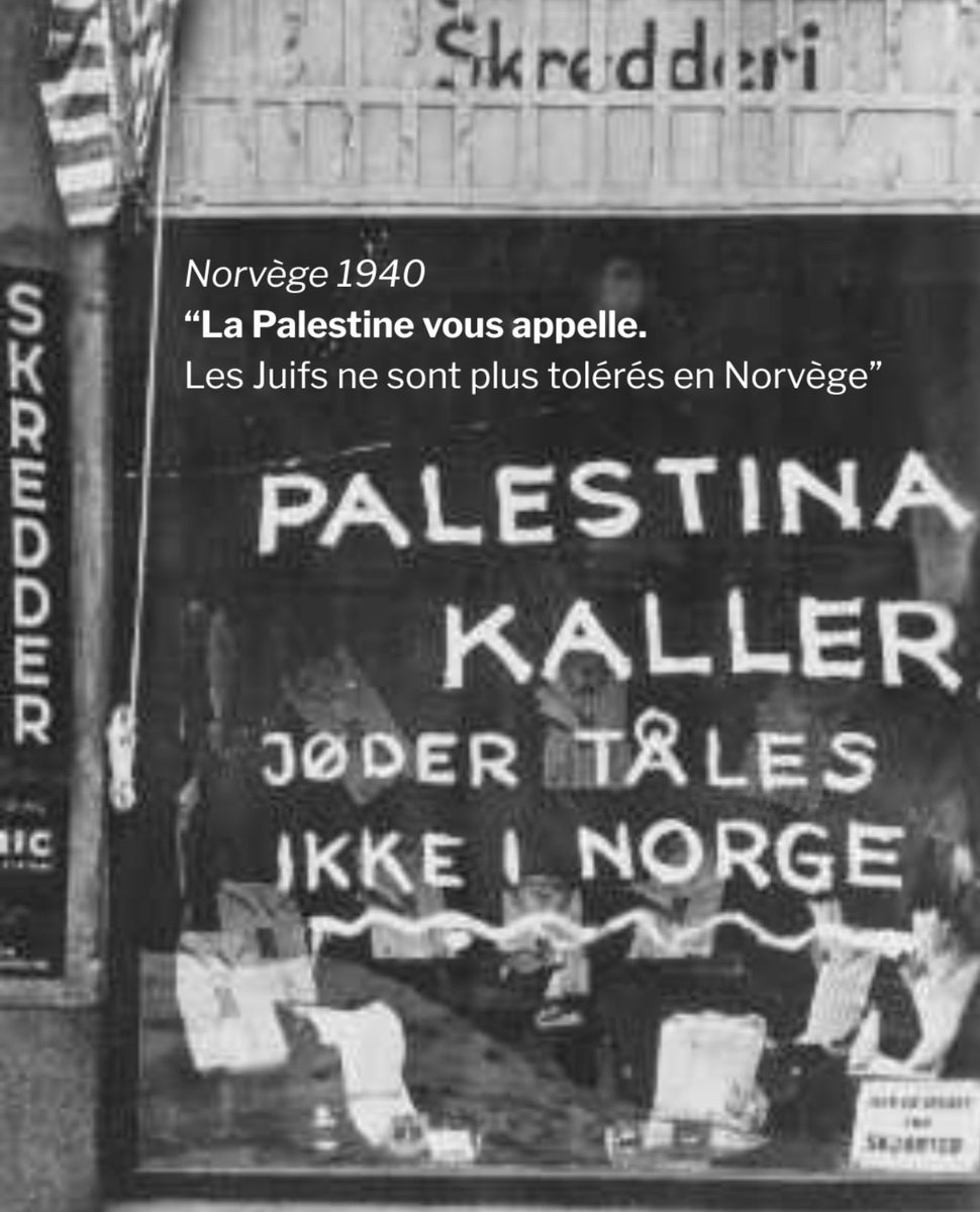 TSILouche 🎗️🇮🇱🇫🇷🇫🇷 tweet media