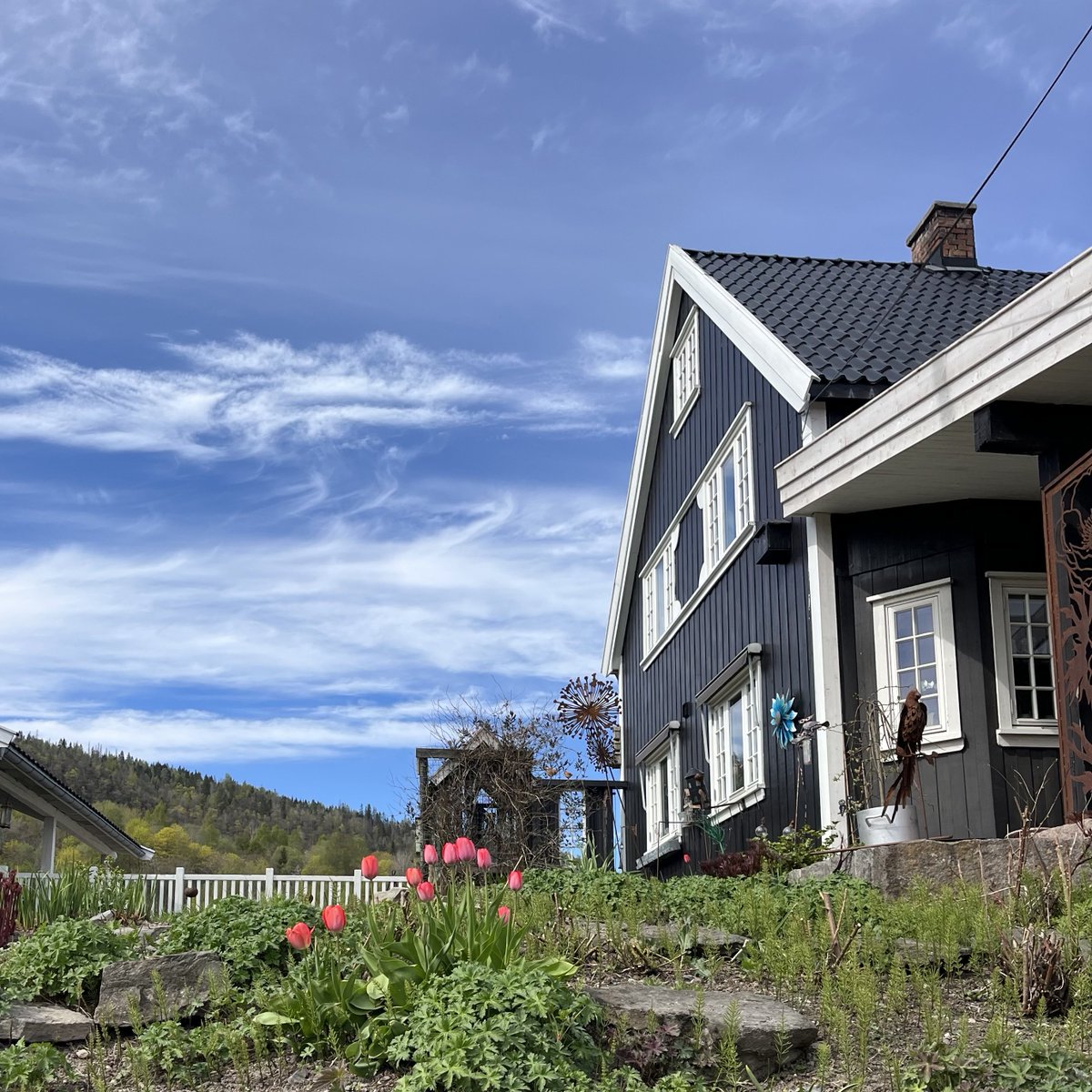 ShahidMAskerN's tweet image. Enjoy your week! Here's to a fresh start on this beautiful morning.🍃🌺☀️☕️💙
📷 Asker 
#Norway