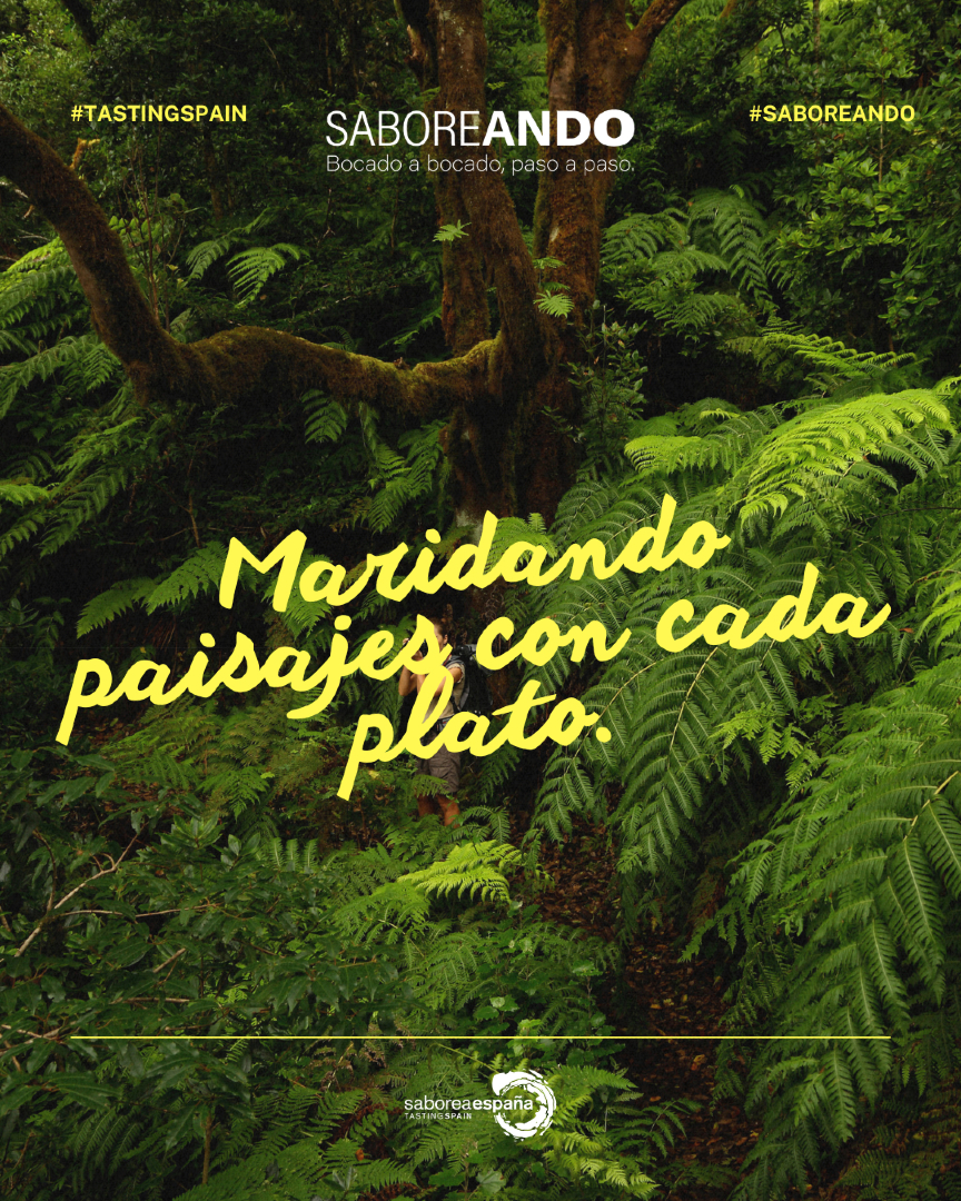 SaboreaEspana's tweet photo. Hay sitios donde respiras verde y sabe a aventura. Aquí el maridaje es fácil: naturaleza + hambre feliz.
#SABOREANDO #TastingSpain #Paisaje #Naturaleza #Rutas #ViajarComiendo https://t.co/rJyhFndLeI