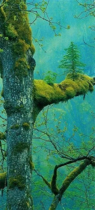 noveliciouss's tweet image. Everything changes when you change.
Jim Rohn
#writing