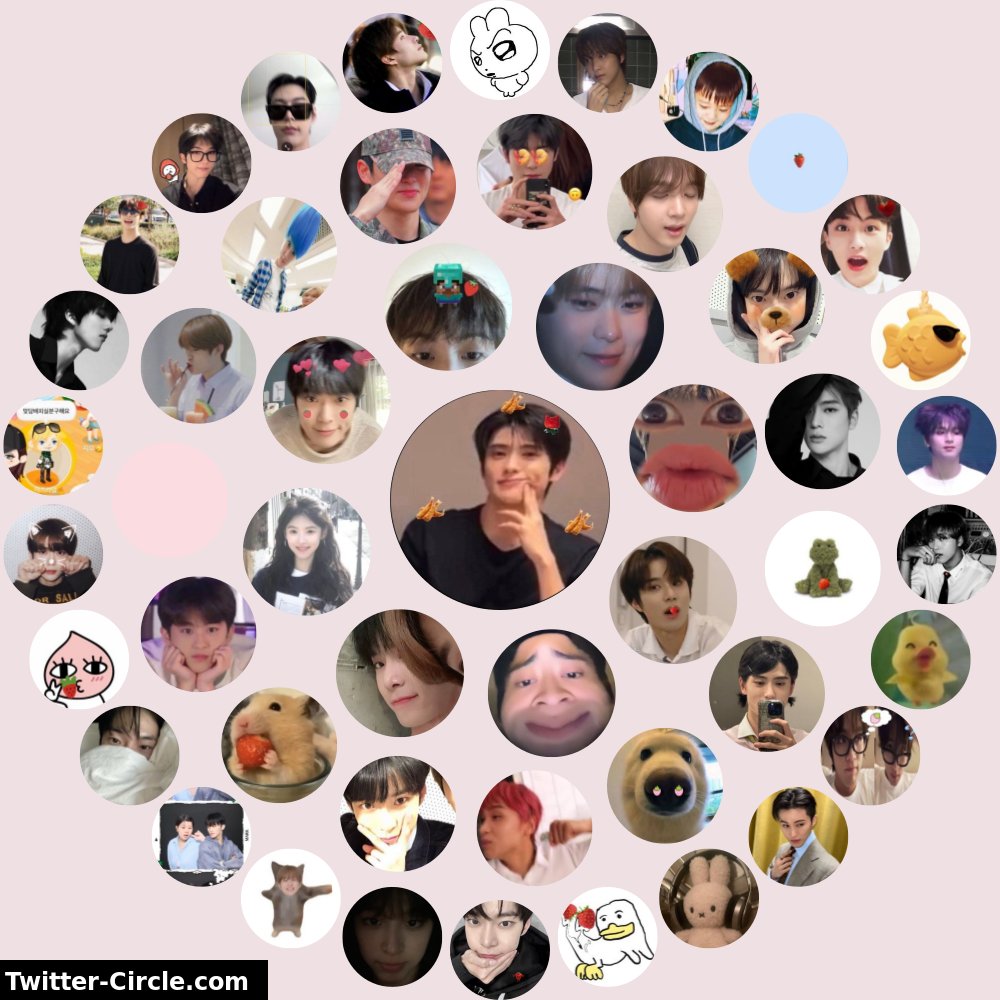 히히히캣 tweet media