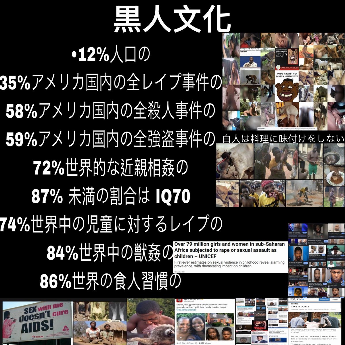 BiBiDNBPdf tweet media