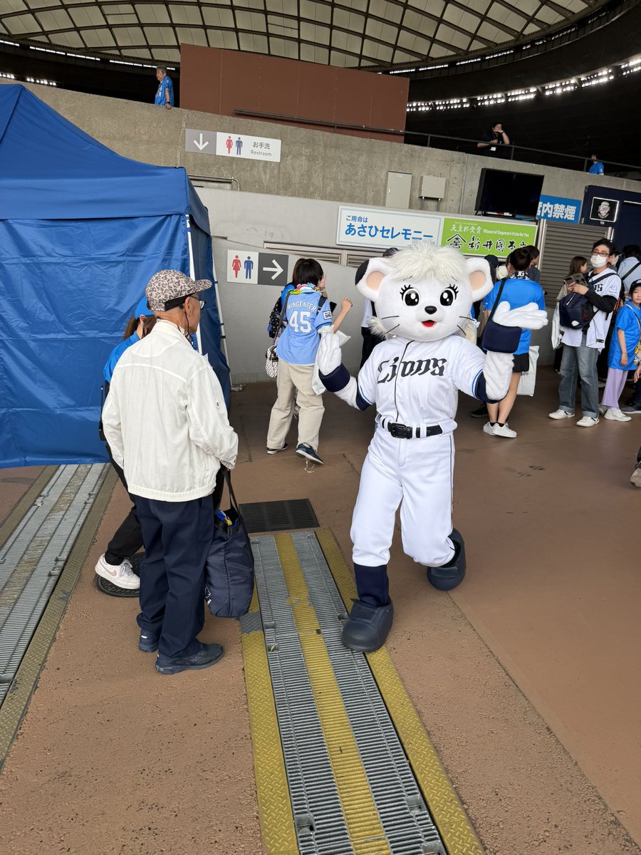 マル、、、 tweet media