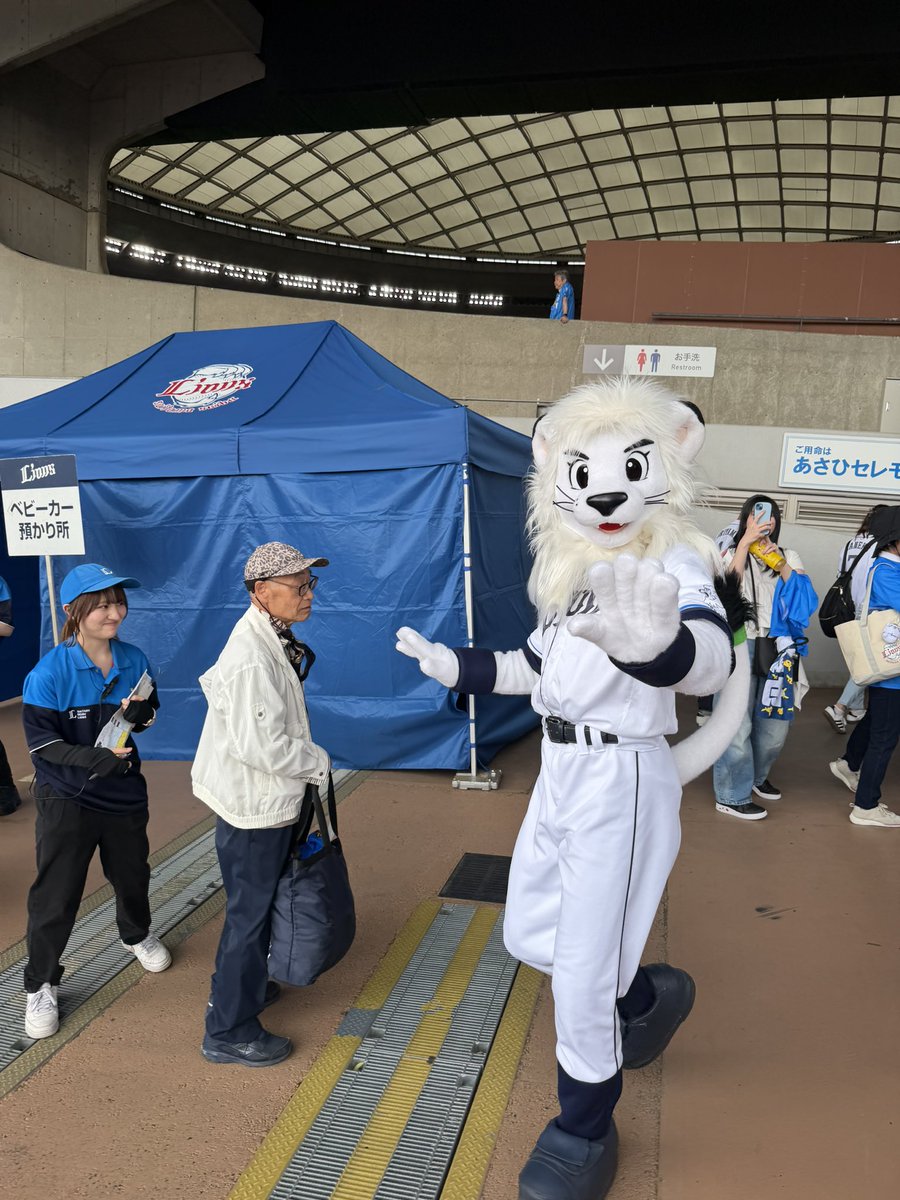 マル、、、 tweet media