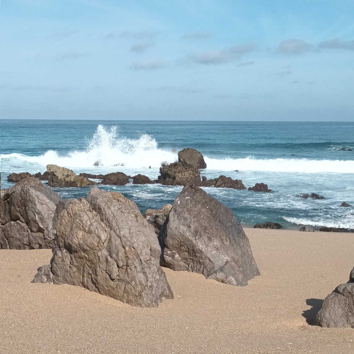 CrisBarbosa75's tweet image. #amor Começar de novo também é um privilégio.  Nova semana,  nova energia.  #happinessoflifestyle
