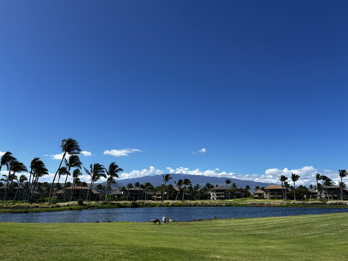 ashbears_'s tweet image. 2년만에 다시 올 줄은 몰랐지! ❤️
#Kona #holidays #waikoloa #hawaii 
#Aloha 🌺