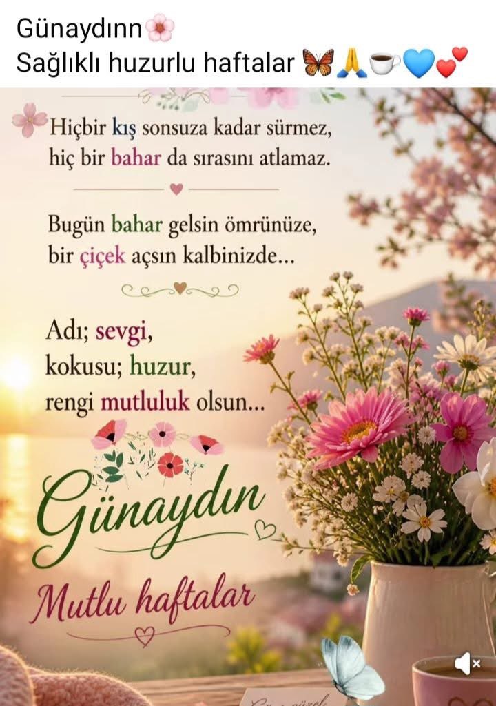 Esra Ertş tweet media