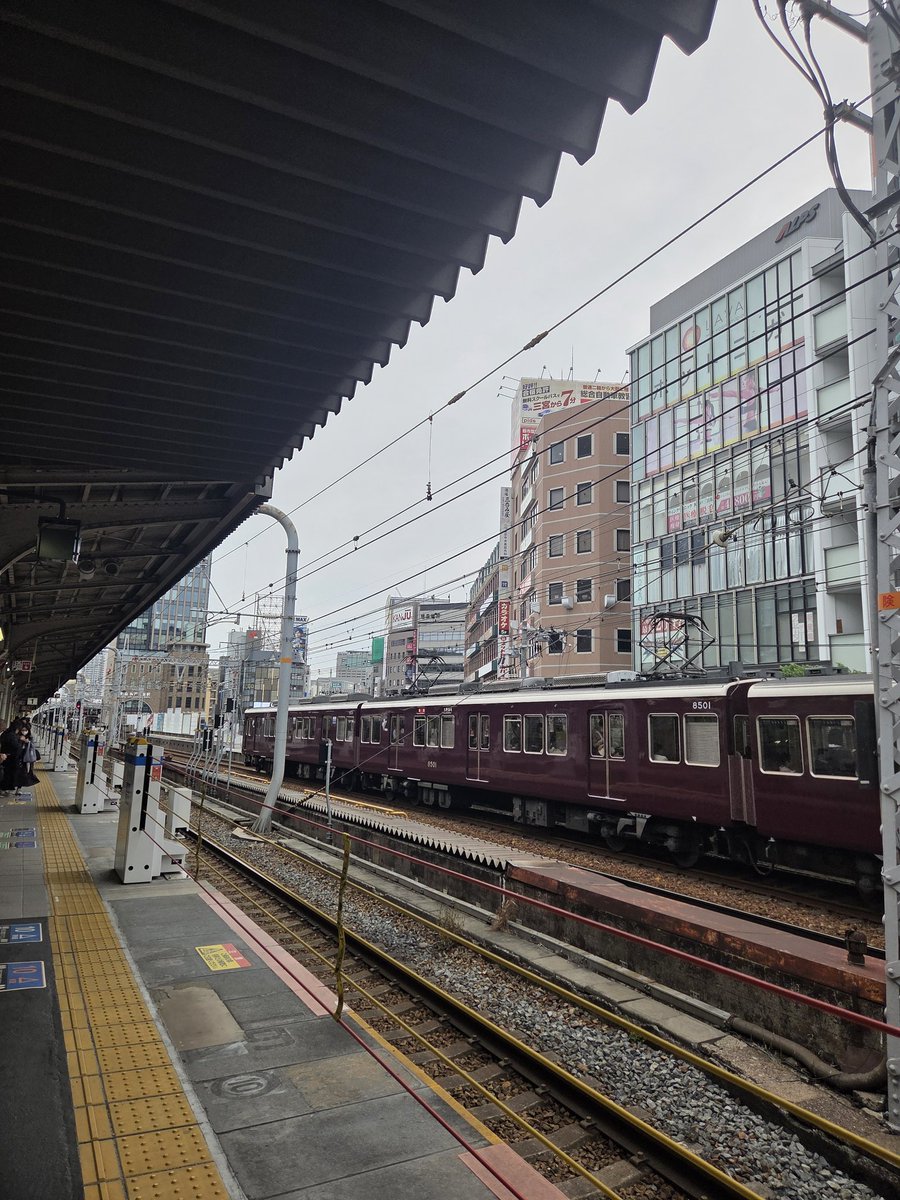 うかり🐱ㅇ.ㅇ! tweet media