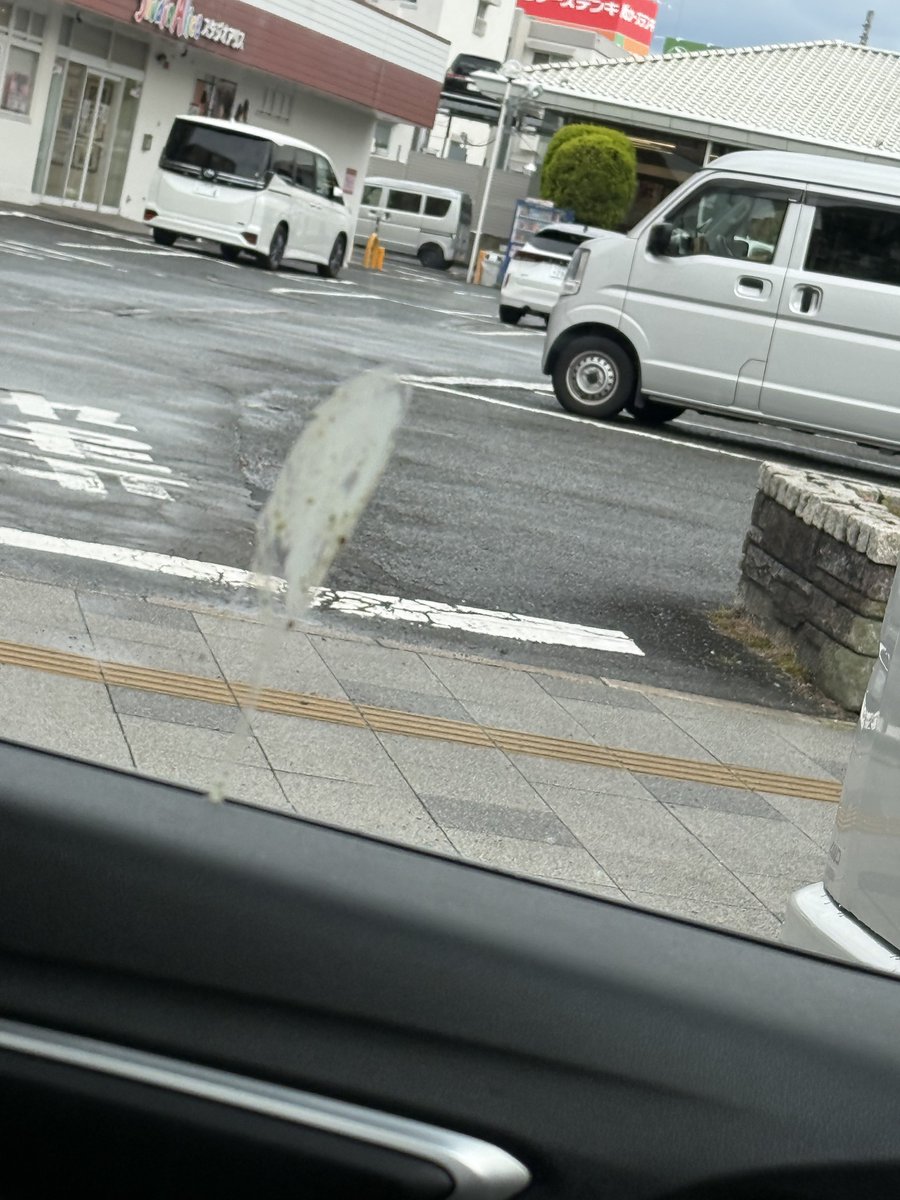 のーす tweet media