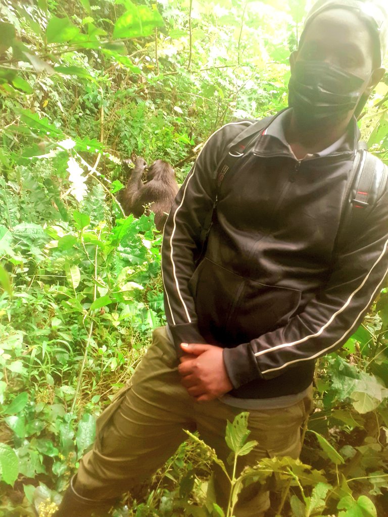 Safari Agent 🇺🇬 tweet media