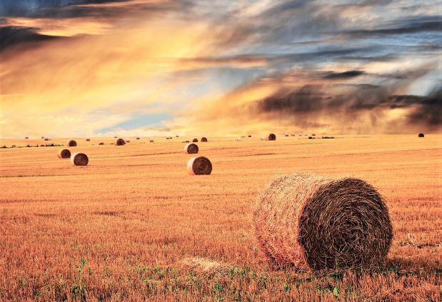 MENETRAY's tweet image. Empresa de Servicios Agrícolas en Venta
linkedin.com/pulse/empresa-…

#Inversion #Agroalimentario #SectorPrimario #EconomiaReal #FincasAgricolas #Agricultura #AgroBusiness #OportunidadDeInversion #EmpresasEnVenta #InversionEspaña #AgriculturaSostenible #PAC #AgTech