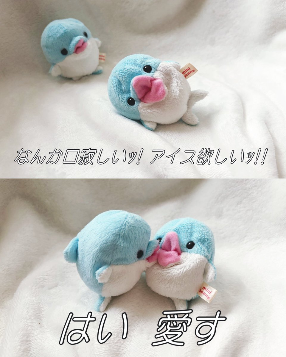ささやか生活 tweet media
