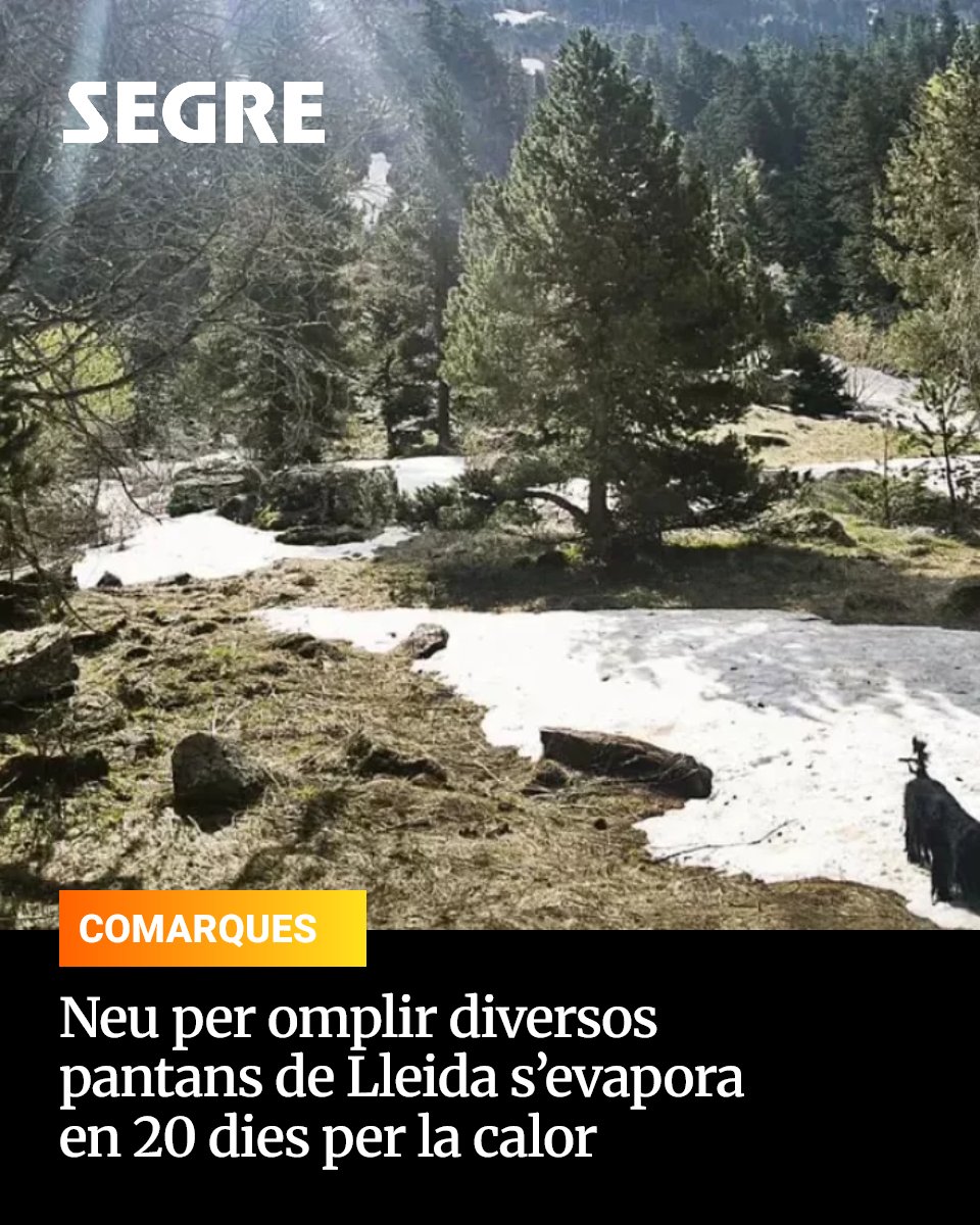 SEGRE tweet media