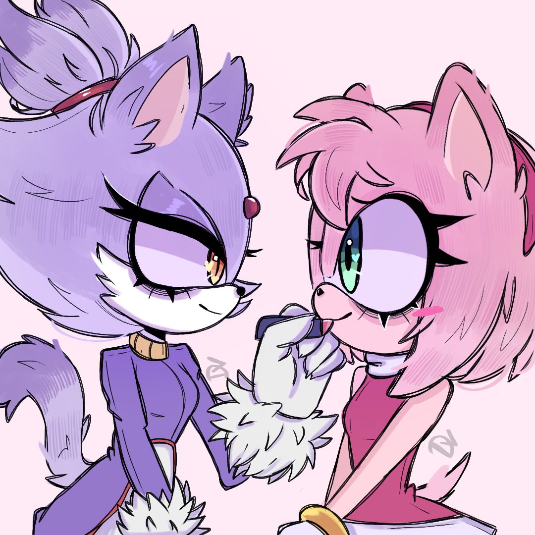 davdeivid_184's tweet image. #blazamy #blaze #amyrose #sonic
