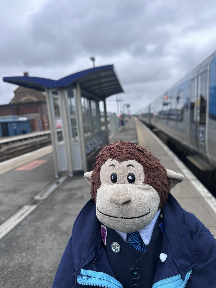 Philip Marsh 🐵 tweet media